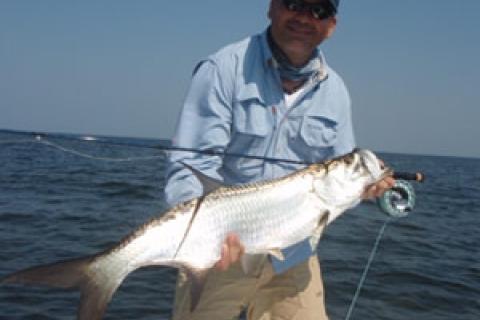 Saltwater Fly Rods Archives - Saltwater on the Fly - Tarpon - Permit