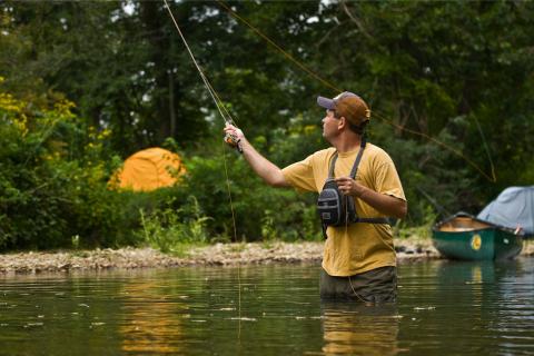 Fly Fisher casting