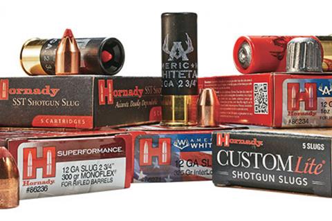 Slug shotshells for whitetail