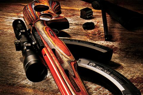 ruger 10/22 is a favorite rifle for many shooters
