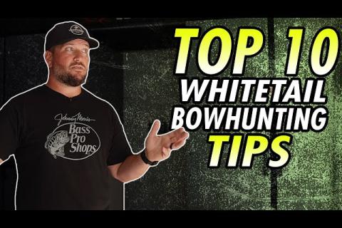 10 Essential Whitetail Bowhunting Tips