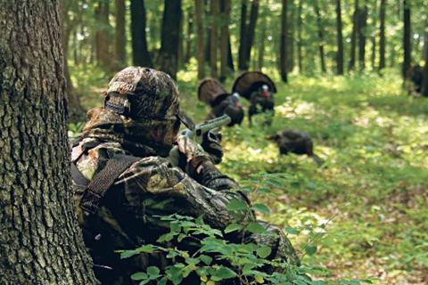Turkey hunter sitting next to tree shooting at 3 turkeys