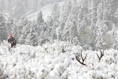 Hunter hunting in snow