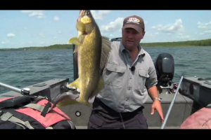 1Source Video: Fish Ed, Mid-Lake Summer Lindy Rigging