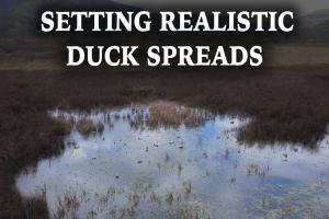 Setting Realistic Decoy Spreads