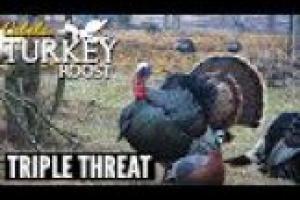 1Source Video: Triple Threat | Cabela's Turkey Roost