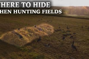 Where to Set UP When Field Hunting Waterfowl