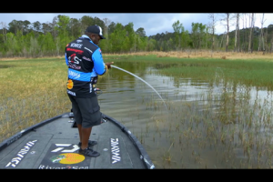 1Source Video: Ish's Tip: Match the Hatch With a Spinnerbait
