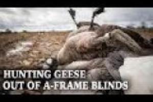 1Source Video: Hunting Geese From A-Frame Blinds