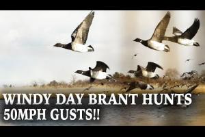 Windy Day Brant Hunting