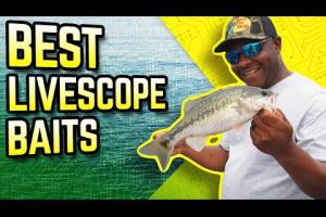 Best LiveScope Baits | Mark Daniels Jr. 