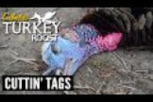 1Source Video: Cuttin' Tags: Cabela's Turkey Roost