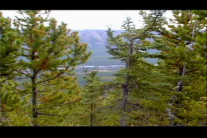 1Source Video: Elk Hunt with Bob Foulkrod in British Columbia