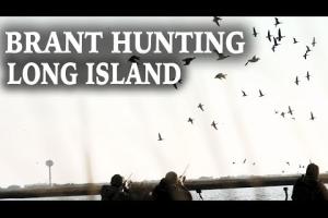 Brant Hunt in Long Island