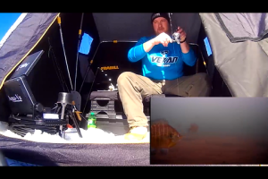 1Source Video: Catch More Panfish Through the Ice