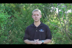 1Source Video: Arrow and Broadhead Buying Guide
