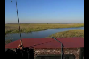 1Source Video: Texas Airboat Ride