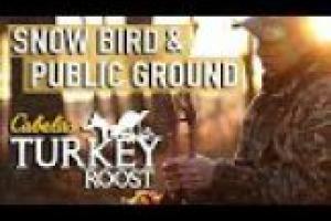 1Source Video: Snow Bird & Public Land: Cabela's Turkey Roost