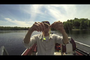 1Source Video: 3 Baits For Drop Shot Walleyes, Plus Tips