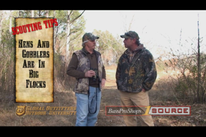 1Source Video: Introduction to Spring Turkey Scouting Tactics