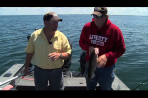 1Source Video: Fish Ed, Clear Water Mille Lacs Walleyes