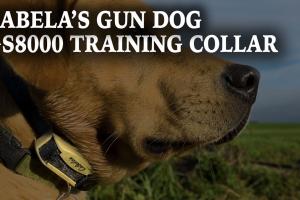 Cabela's Gun Dog GS-8000 Training Collar