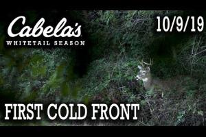 Early Whitetail Season Cold Front