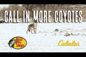 Call In More Coyotes – Midwest Predator Episode 1