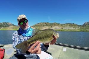 Fly Fishing for Bass in Tough Structure