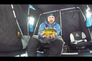 1Source Video: Draw Blue Gills in With Rattle Baits