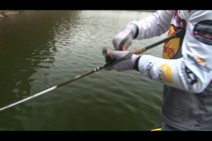 1Source Video: Mimic Your Baits to the Forage Fish