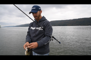 1Source Video: Punching Grass for Bigger Bass