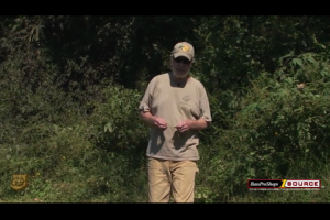 1Source Video: J Wayne Fears: Managing Habitat With Persimmon Tree