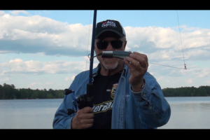 1Source Video: Topwater Muskie Techniques, Tail Rotating Baits