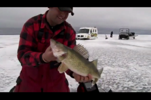 1Source Video: Tony Roach, Jigging Up Walleyes on the Ice