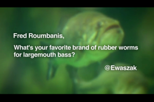 1Source Video: Fred Roumbanis' Favorite Brand of Rubber Worms for Largemouth Bass