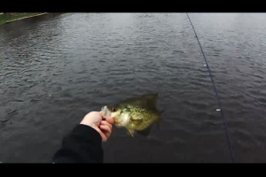 1Source Video: Pitching Jigs for Crappies and Gamefish