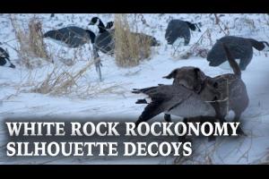 Whit Rock Decoys Rockonomy