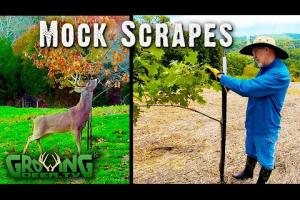 Easy Guide to Make Mock Deer Scrapes 