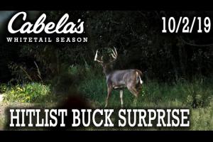 Buck Surprise