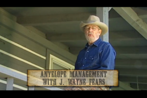 1Source Video: Antelope Management