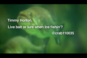 1Source Video: Timmy Horton on Ice Fishing Bait. Live or Lure?