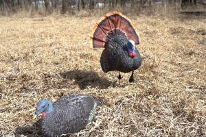 RedHead Remote Crazy Jake and Hen Turkey Decoy Combo