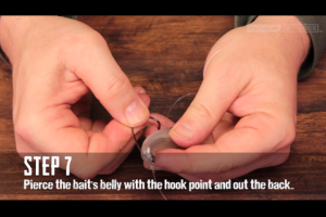 1Source Video: Tie the Carolina Rig Step-by-Step