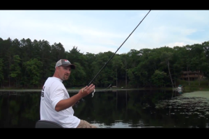 1Source Video: Tips on Fishing the Slop for Muskies