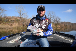 1Source Video: Ott's Tip: How to Store Your Frogs