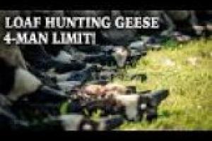 1Source Video: Hunting Geese on Ponds: Cabela's