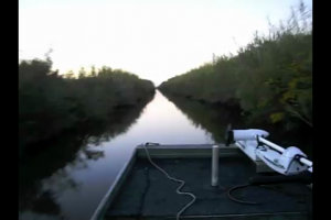 1Source Video: Bayou Dawn Patrol Boat Ride