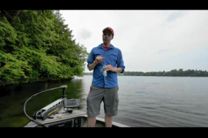 1Source Video: Shallow-Water Smallmouth Tips