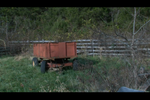 1Source Video: Why Hay Bales Make Great Deer Stands